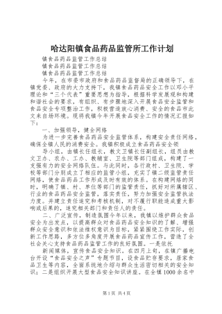 哈达阳镇食品药品监管所工作计划 
