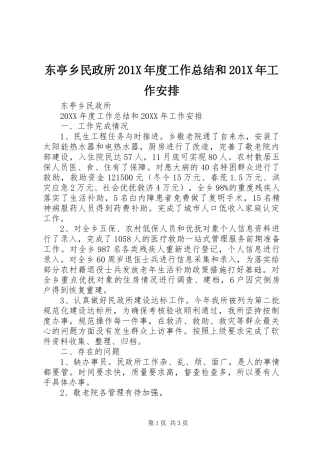 东亭乡民政所201X年度工作总结和201X年工作安排