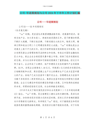 公司-年发展规划与公司2024年下半年工作计划汇编