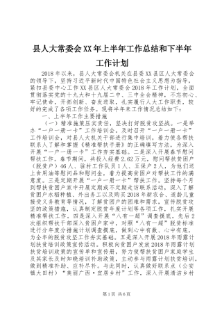 县人大常委会XX年上半年工作总结和下半年工作计划 