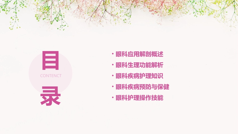 2眼科应用解剖与生理护理课件_第2页