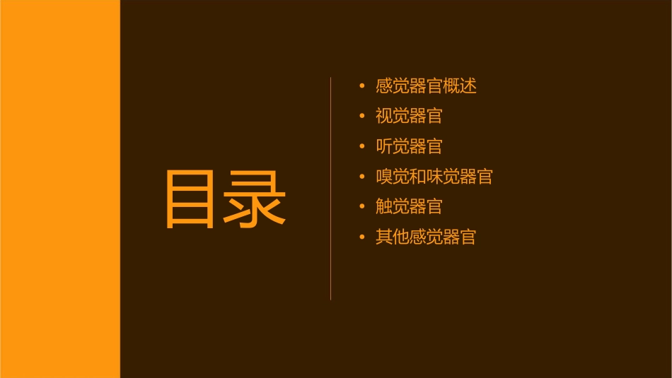 人卫版生理学感觉器官教学护理课件1_第2页