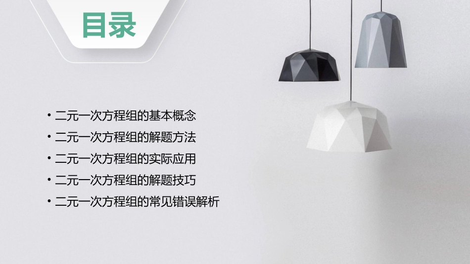 二元一次方程组方法选择和解题技巧课件_第2页