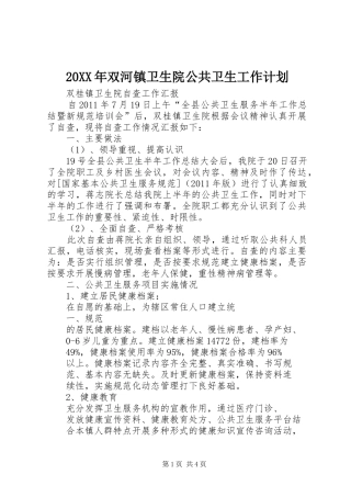 20XX年双河镇卫生院公共卫生工作计划 (3)