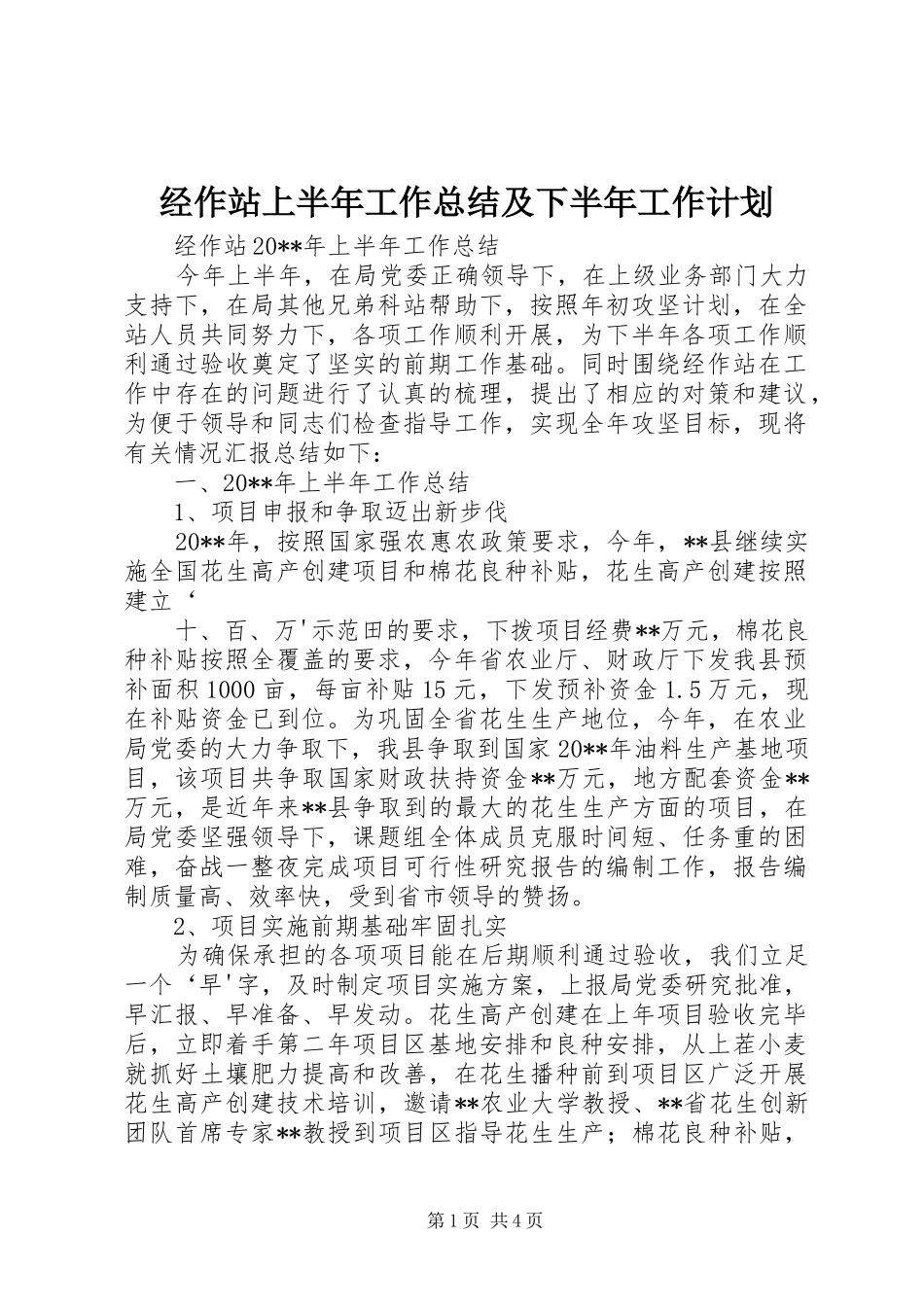 经作站上半年工作总结及下半年工作计划 _第1页