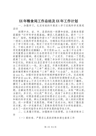 XX年粮食局工作总结及XX年工作计划 