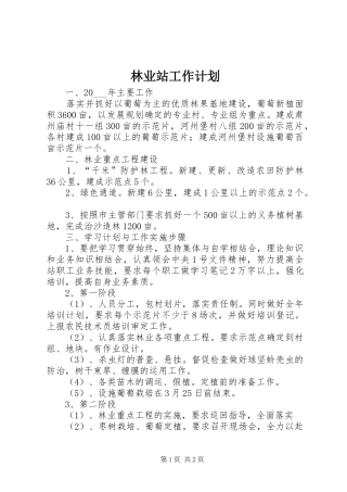 林业站工作计划 