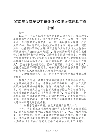 20XX年乡镇纪委工作计划-XX年乡镇药具工作计划