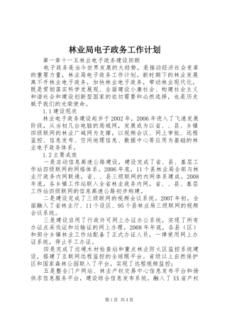 林业局电子政务工作计划 