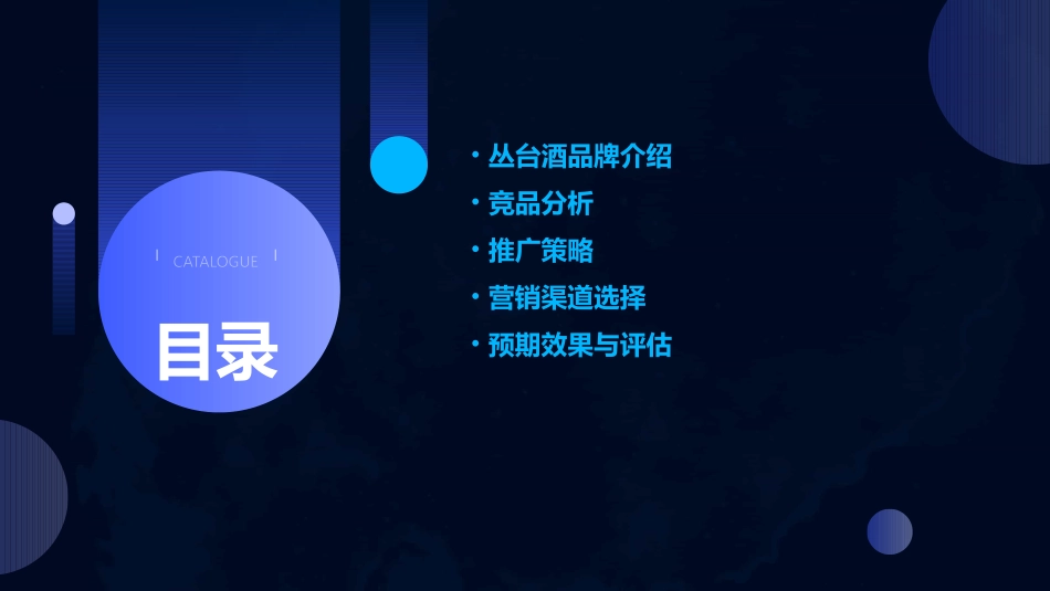 丛台酒推广方案课件_第2页