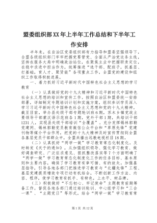 盟委组织部XX年上半年工作总结和下半年工作安排 