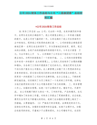 公司2024财务工作总结与公司“三星级团委”总结材料汇编