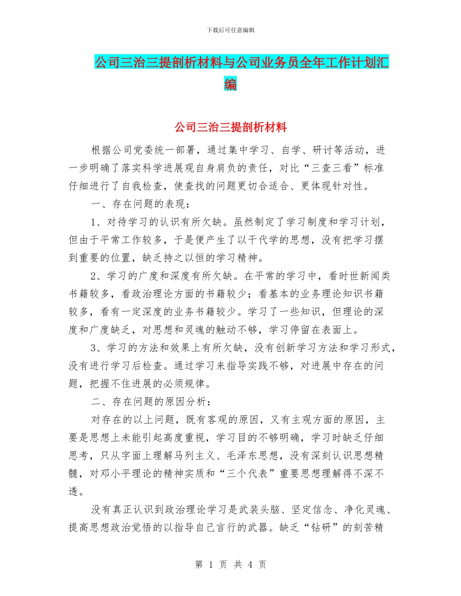 公司三治三提剖析材料与公司业务员全年工作计划汇编_第1页
