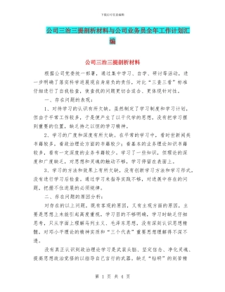 公司三治三提剖析材料与公司业务员全年工作计划汇编
