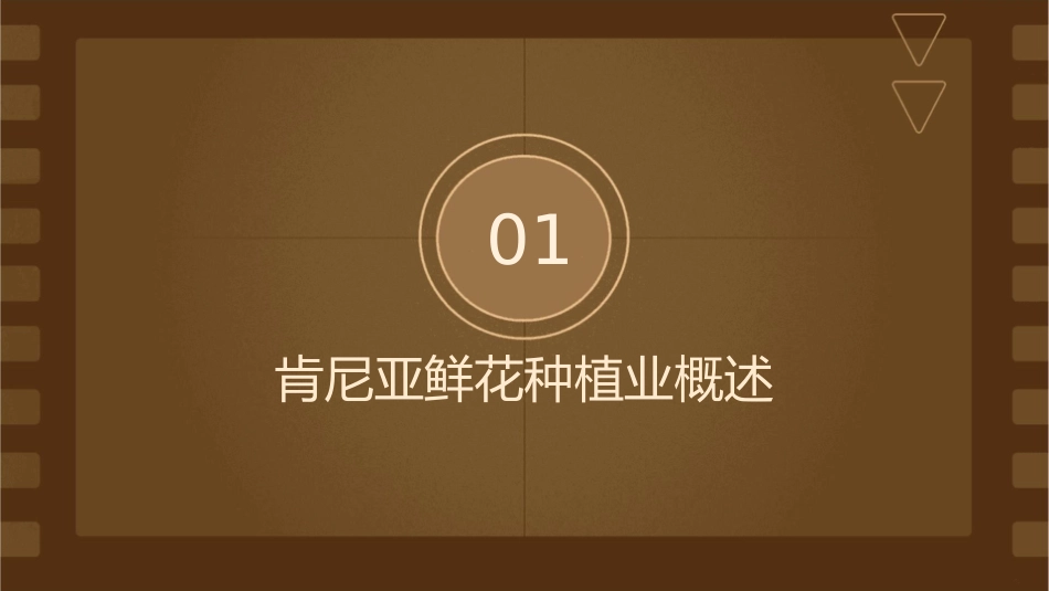 以肯尼亚鲜花种植业为例课件1_第3页