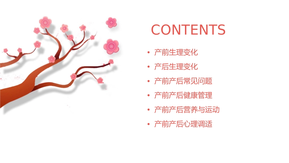 产前产后的基本生理剖析课件1_第2页