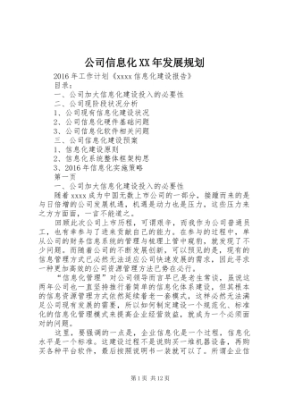 公司信息化XX年发展规划 