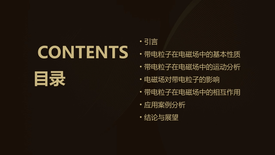 带电粒子在电磁场中的运动解读课件_第2页