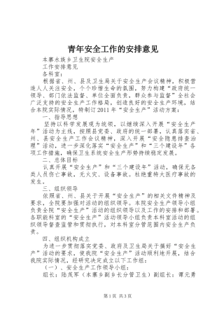 青年安全工作的安排意见 