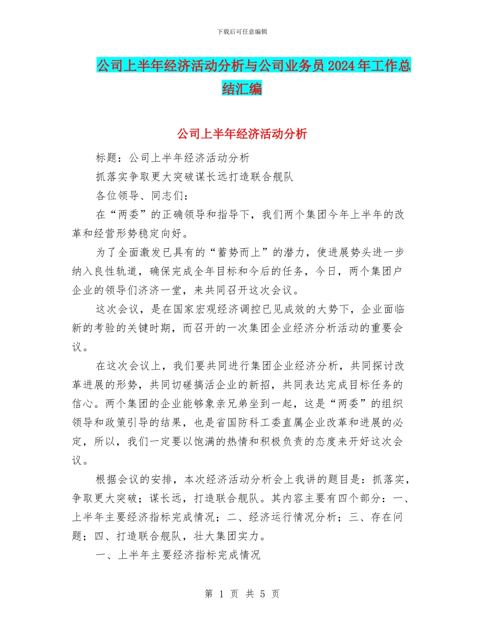 公司上半年经济活动分析与公司业务员2024年工作总结汇编_第1页
