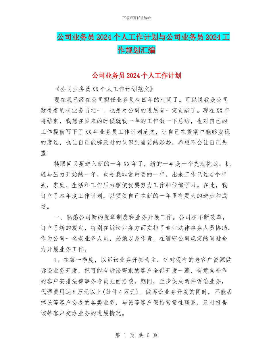 公司业务员2024个人工作计划与公司业务员2024工作规划汇编_第1页