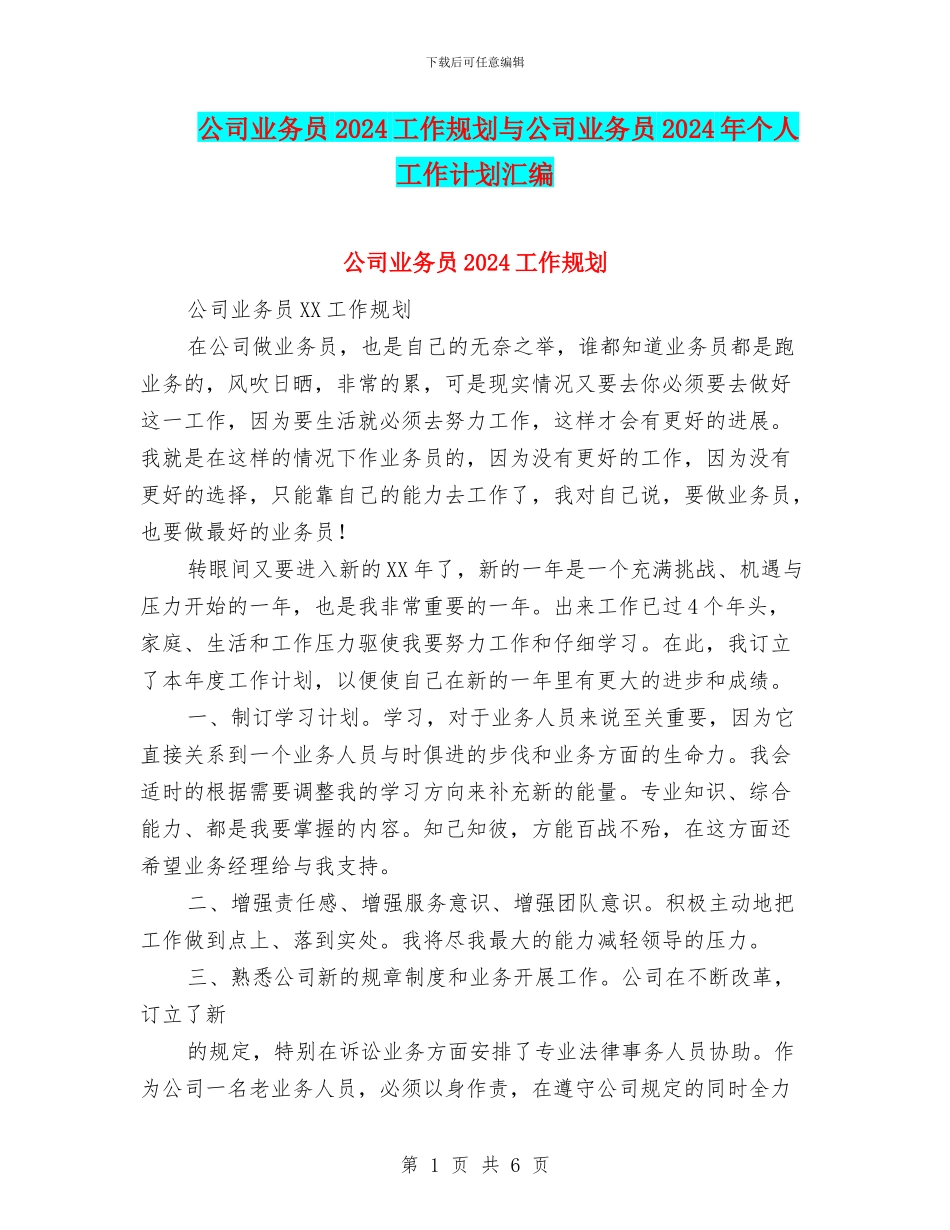 公司业务员2024工作规划与公司业务员2024年个人工作计划汇编_第1页