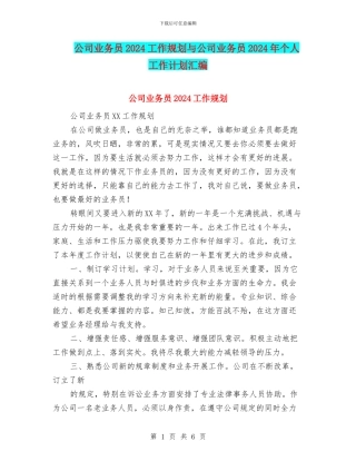 公司业务员2024工作规划与公司业务员2024年个人工作计划汇编