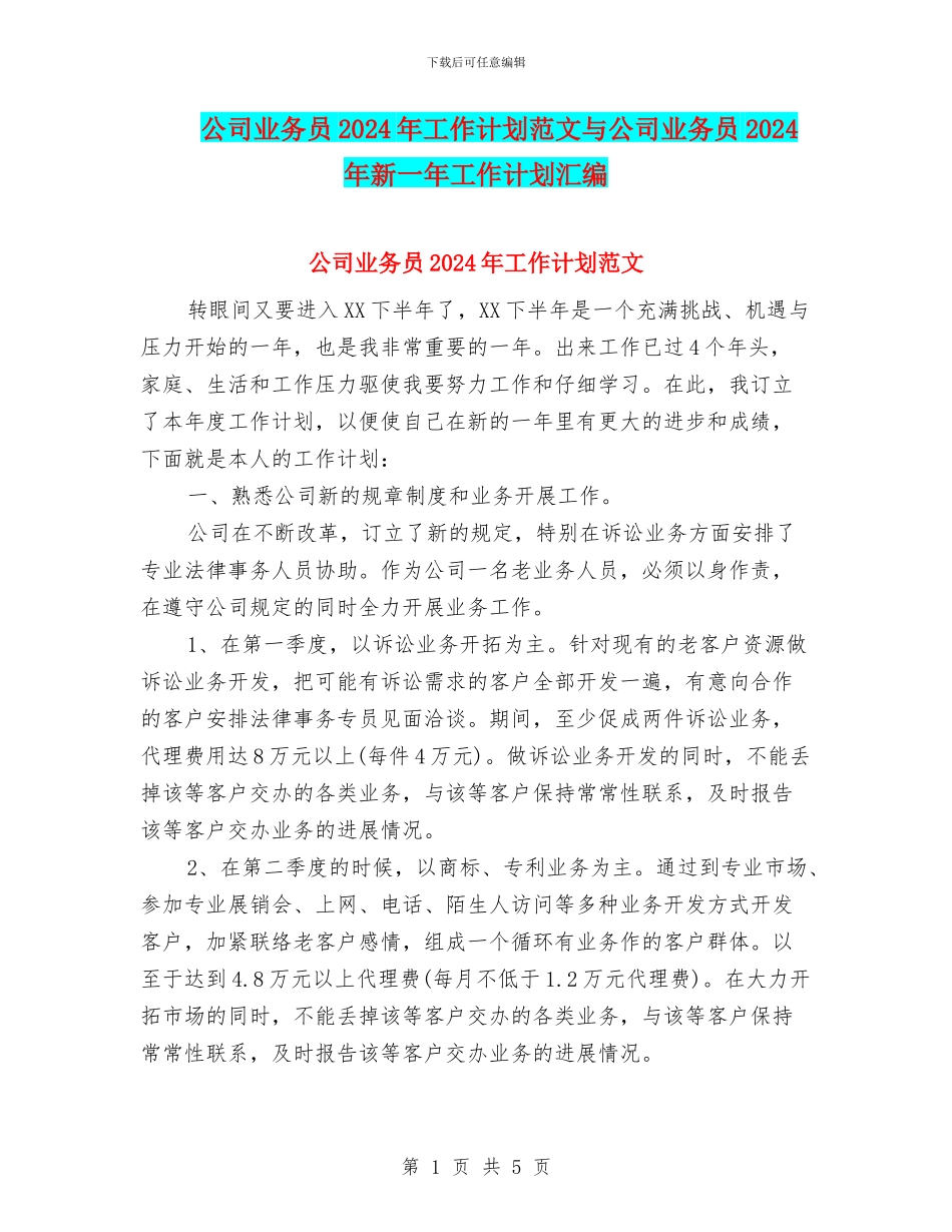 公司业务员2024年工作计划范文与公司业务员2024年新一年工作计划汇编_第1页