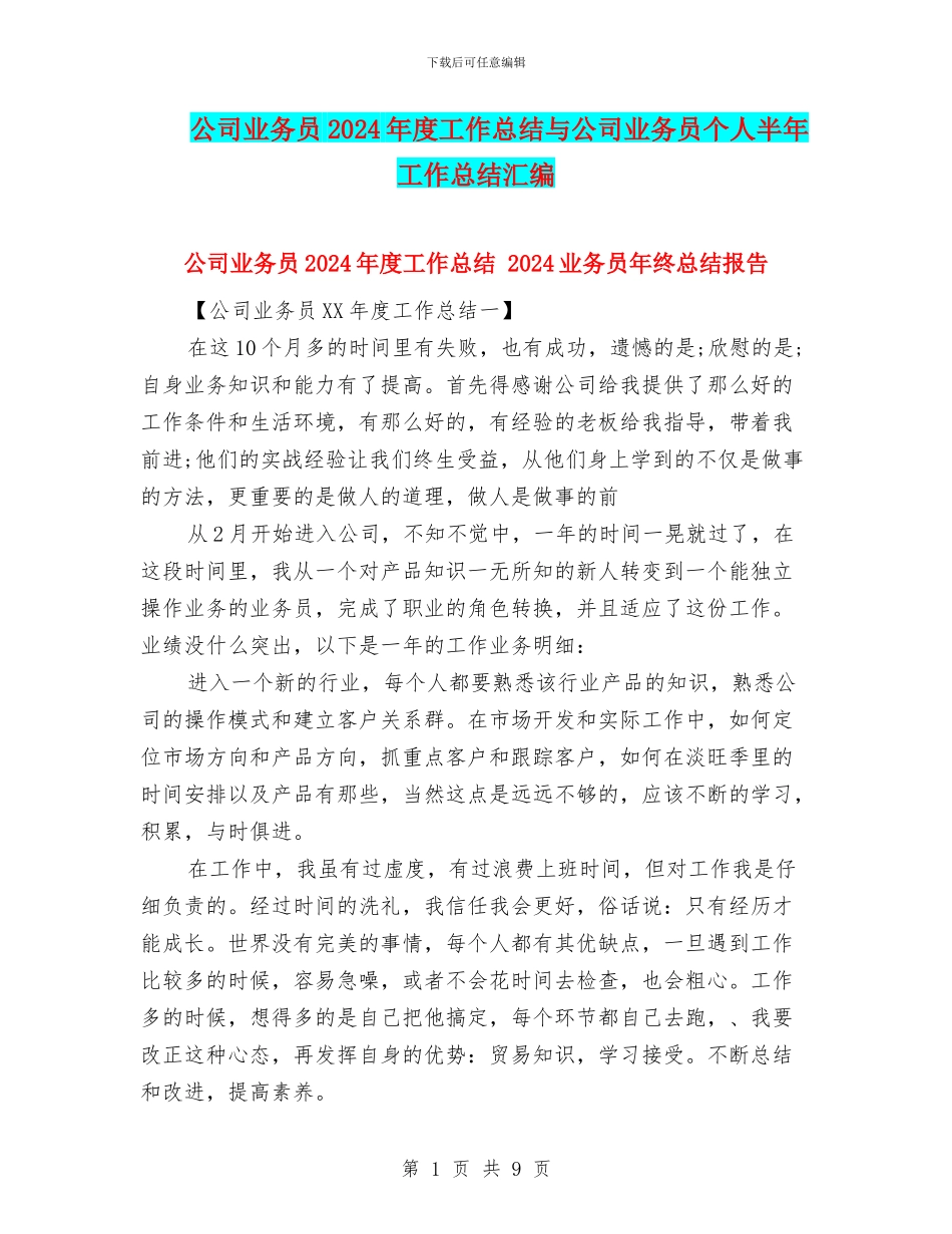 公司业务员2024年度工作总结与公司业务员个人半年工作总结汇编_第1页