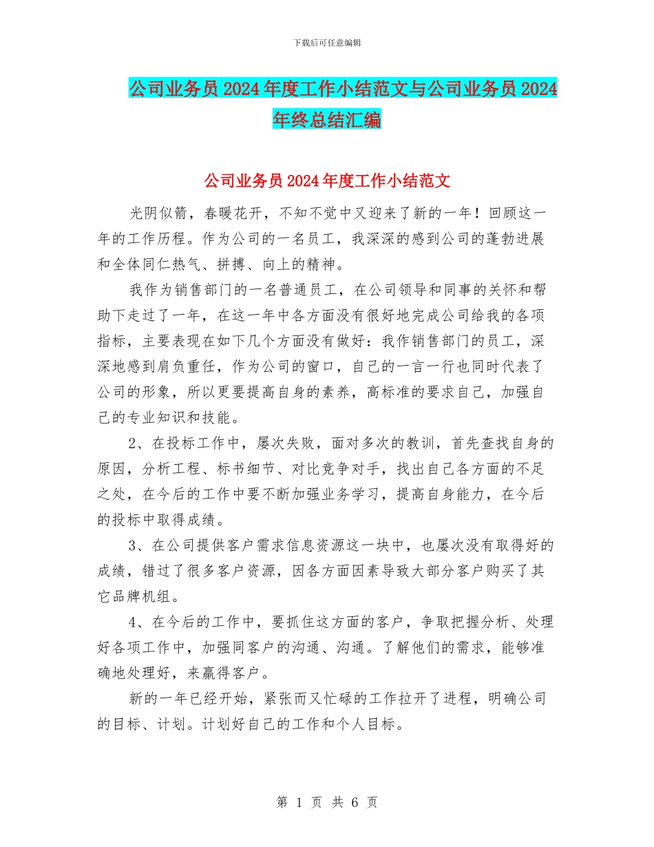 公司业务员2024年度工作小结范文与公司业务员2024年终总结汇编_第1页