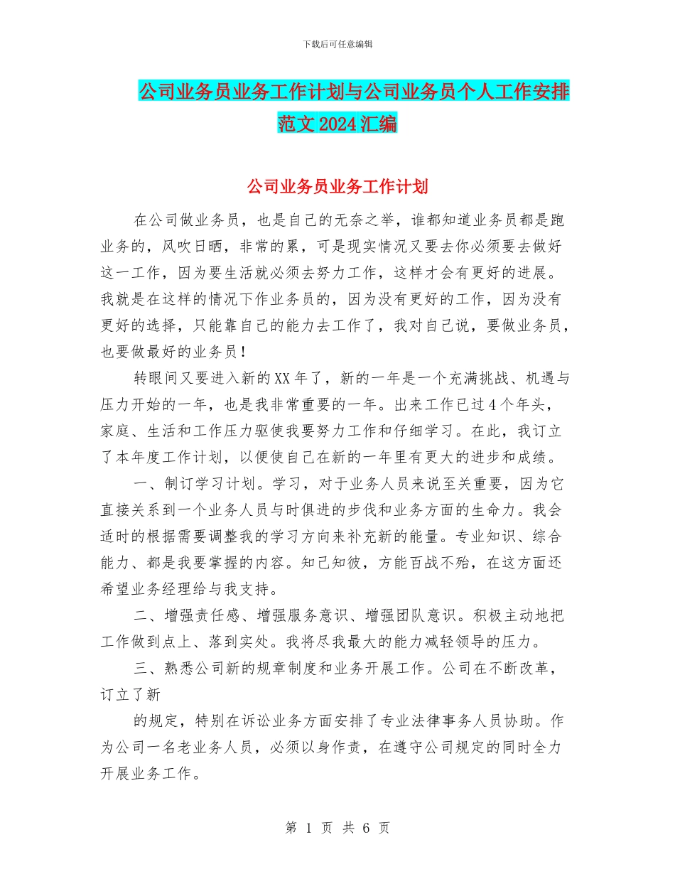公司业务员业务工作计划与公司业务员个人工作安排范文2024汇编_第1页