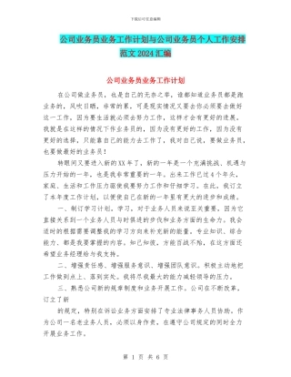 公司业务员业务工作计划与公司业务员个人工作安排范文2024汇编