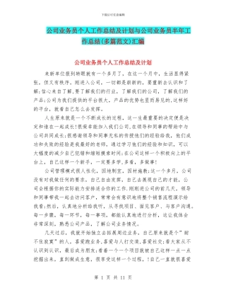 公司业务员个人工作总结及计划与公司业务员半年工作总结汇编
