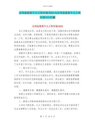 公司业务员个人工作计划2024与公司业务员个人工作计划213汇编