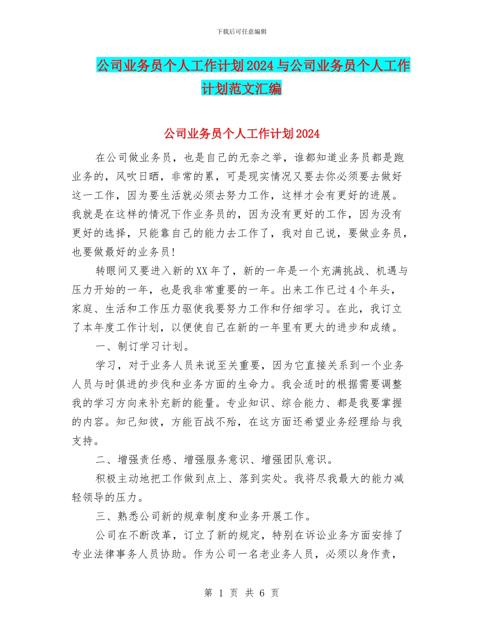 公司业务员个人工作计划2024与公司业务员个人工作计划范文汇编_第1页