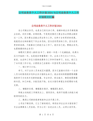 公司业务员个人工作计划2024与公司业务员个人工作计划范文汇编