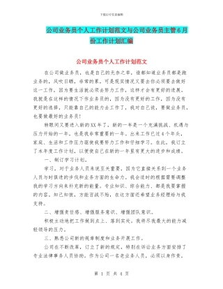 公司业务员个人工作计划范文与公司业务员主管6月份工作计划汇编