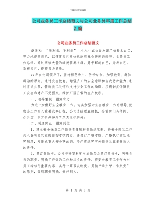 公司业务员工作总结范文与公司业务员年度工作总结汇编