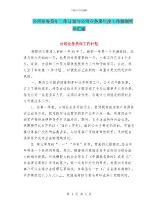 公司业务员年工作计划与公司业务员年度工作规划推荐汇编