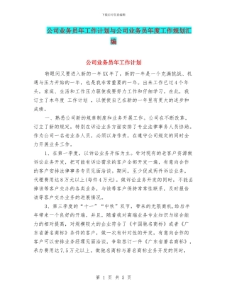 公司业务员年工作计划与公司业务员年度工作规划汇编
