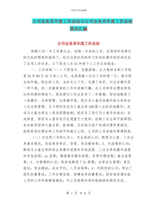 公司业务员年度工作总结与公司业务员年度工作总结报告汇编