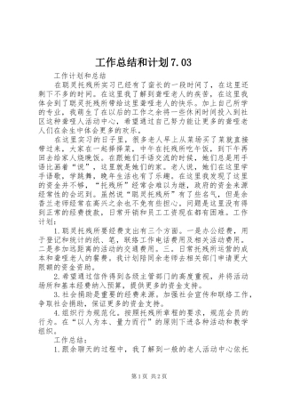 工作总结和计划7.03 