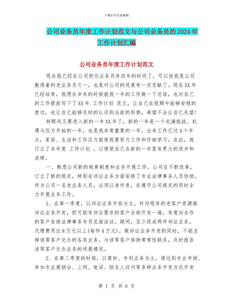 公司业务员年度工作计划范文与公司业务员的2024年工作计划汇编_第1页