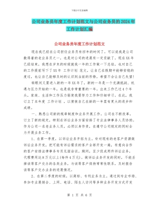 公司业务员年度工作计划范文与公司业务员的2024年工作计划汇编