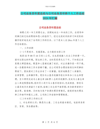 公司业务员年度总结与公司业务员年终个人工作总结2024年汇编