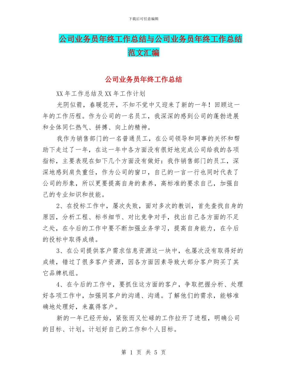公司业务员年终工作总结与公司业务员年终工作总结范文汇编_第1页