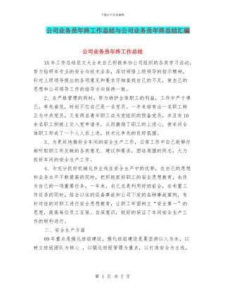 公司业务员年终工作总结与公司业务员年终总结汇编