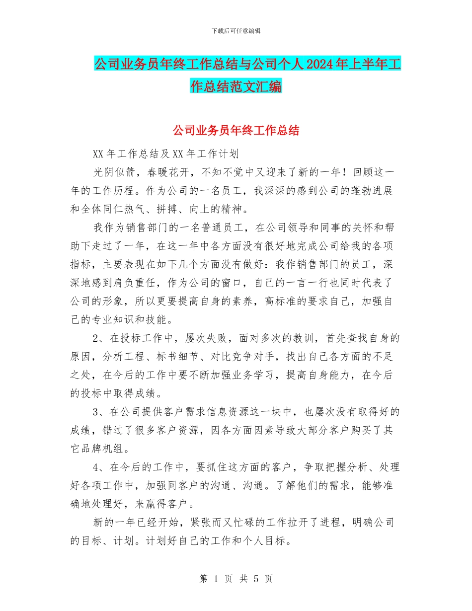 公司业务员年终工作总结与公司个人2024年上半年工作总结范文汇编_第1页
