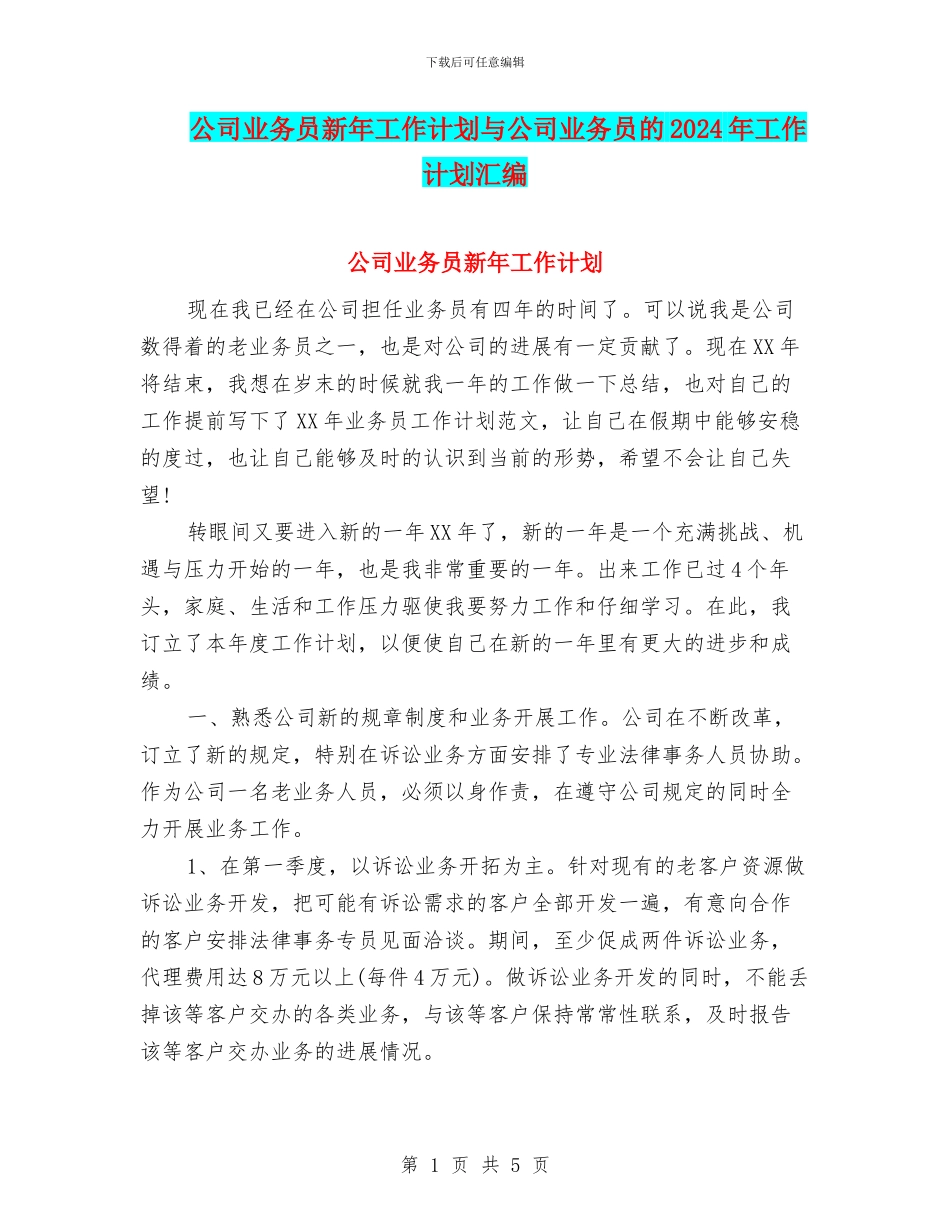 公司业务员新年工作计划与公司业务员的2024年工作计划汇编_第1页