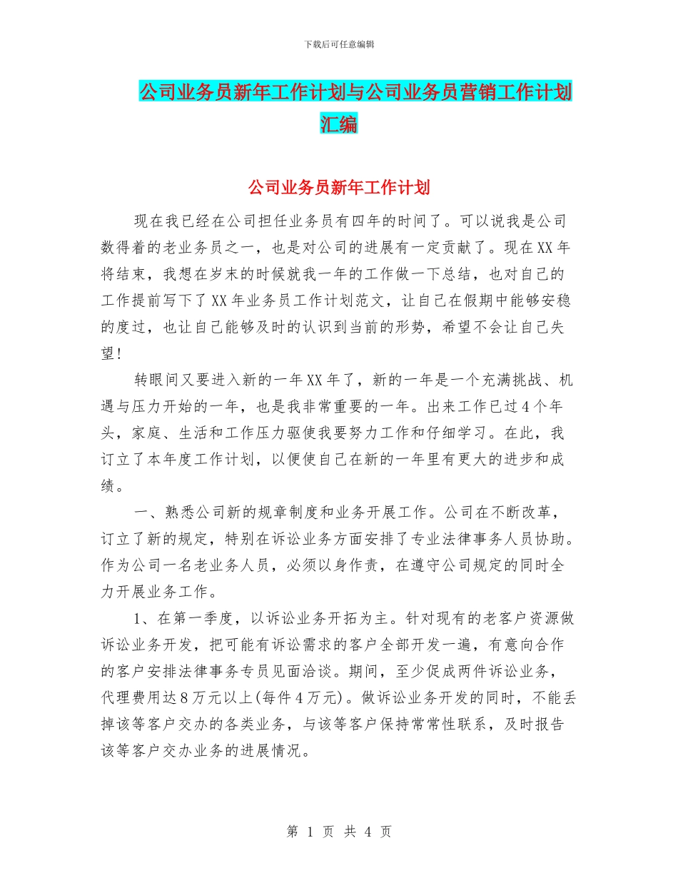 公司业务员新年工作计划与公司业务员营销工作计划汇编_第1页
